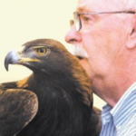 Join wildlife rehabilitator Tom Ricardi for his ever-popular presentation on birds of prey.