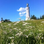 Mount Greylock in the summer.