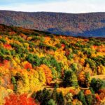 Fall foliage takes over Mount Greylock in the Berkshires.