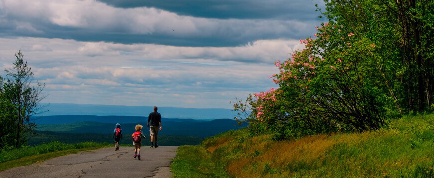 A family of three are hiking in the distance with blue skies and spring greenery all around.