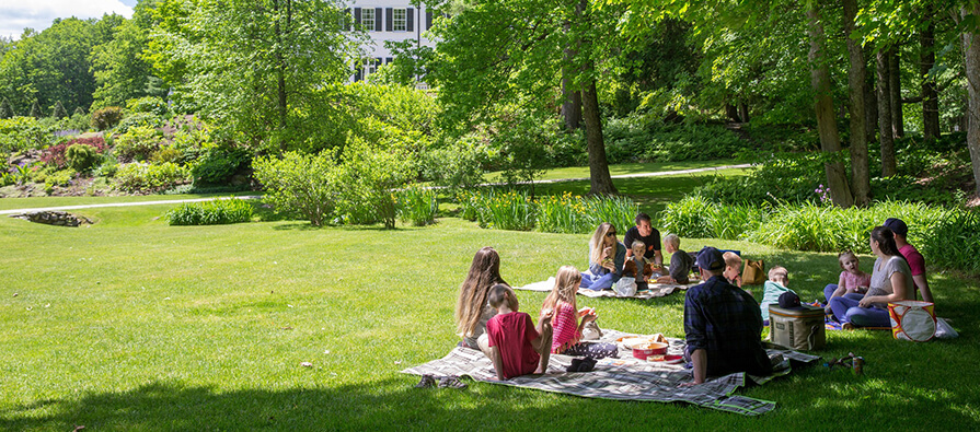 Families picnic on the lawn of The Mount, on a bright sunny summer day