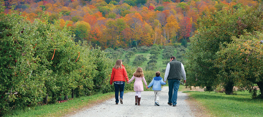 Two adults and two children walk hand in hand along gravel path at Bartlett's Orchard with a fall foliage backdrop