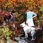 Two people hike through fall foliage with their dog