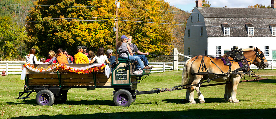 People being pulled in a horse drawn wagon at the Hancock Shaker Village with a fall backdrop