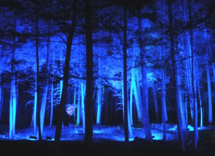 The Mount, Edith Wharton’s Home, is excited to present its third year of NightWood, an innovative outdoor sound and light experience that immerses visitors in a fantastical winter landscape.