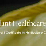 Led by Ken Gooch, this program focuses on factors that affect plant health care, including insects, diseases, pathogens, and abiotic influences.
