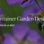 BBG Container Gardens