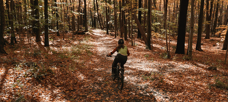 A woman rides a mountain bike through the shaded forest surrounded by trees and fallen leaves.