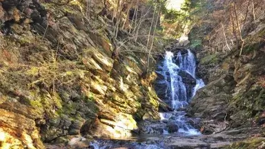 Waterfall Hike