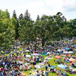 The lawn on Tanglewood in the summer filled with music lovers