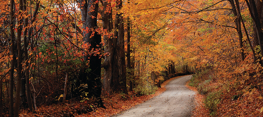 Driving along a fall foliage covered road