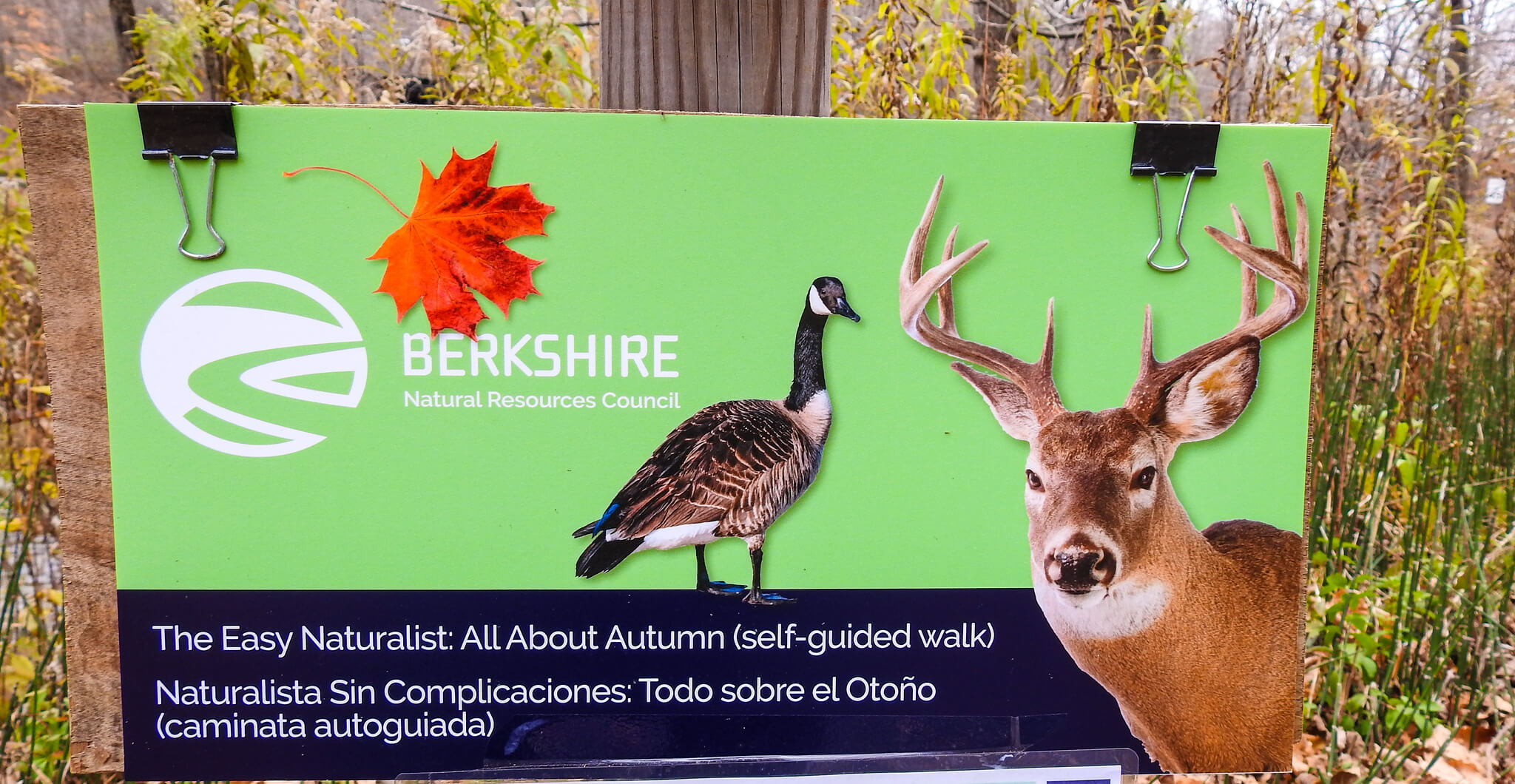 A Berkshire Natural Resources sign featuring a goose and deer invited people to take a hike through the woods.