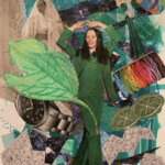 A collage of items from nature