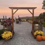 The entryway to Balderdash Cellars flanked by fall mums