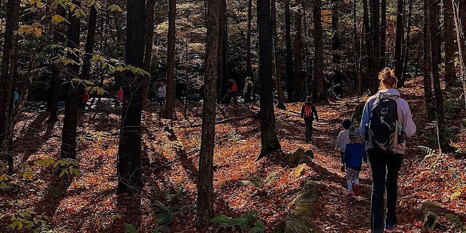 A group of children, followed by an adult, walk through the woods in fall. The ground is covered in leaves.
