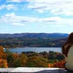 Woman sitting at Olivia Overlook viewing the fall foliage and water below