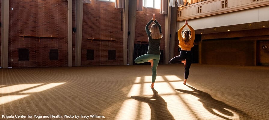 Two women practice yoga in a large empty room full of sunshine streaming through the window. The pose is Tree Pose. The women stand in the light on the ground. They are practicing at Kripalu Center for Yoga and Health.