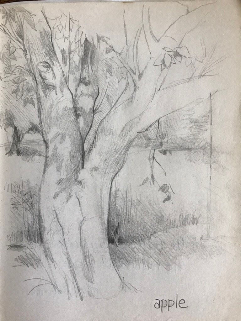 Fundamentals of Drawing - Visit the Berkshires of Western MA