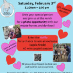 Photography opportunity at Berkshire Horseworks