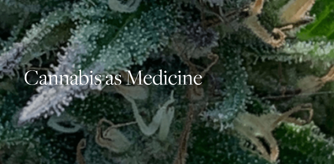 cannabis as medicine class at Berkshire Botanical Gardens
