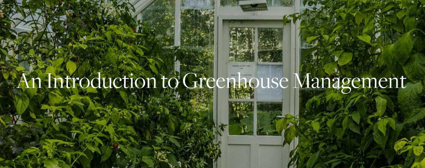 A white greenhouse door surrounded by lush greenery