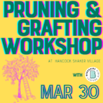 Join the pruning and grafting workshop at Hancock Shaker Village