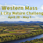 Join the 3-day City Nature Challenge through the BNRC
