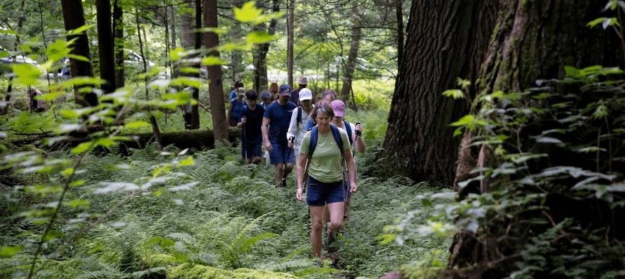 A group hiking through a woodland trail in the spring