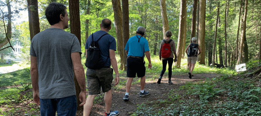 A group hiking through shaded woodland on a walking path with greenery surrounding them
