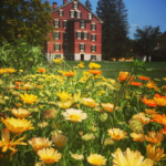 enjoy a guided walk at Hancock Shaker Village