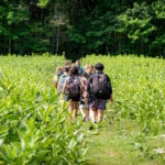 A group of children walk single file through a grassy field as part of the explorers vacation camp at Mass Audubon Pleasant Valley camp.