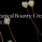 Learn to use herbal infused Oils at BBG