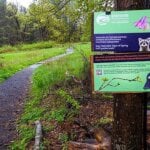 Take a self-guided walk at Parsons Marsh