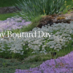 Celebrate Ray Boutard Day at BBG