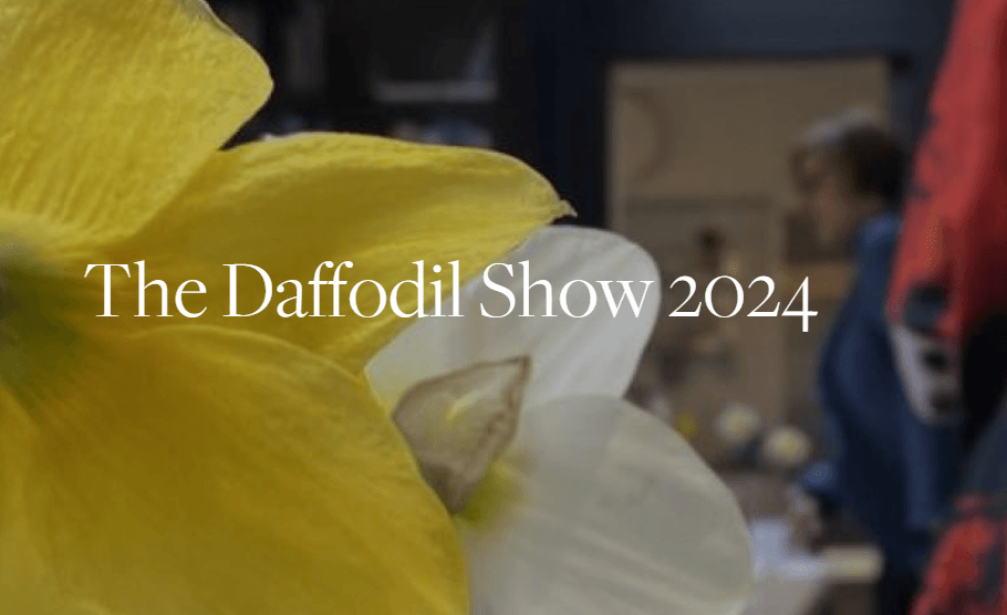 Lenox Garden Club hosts the daffodil show at BBG