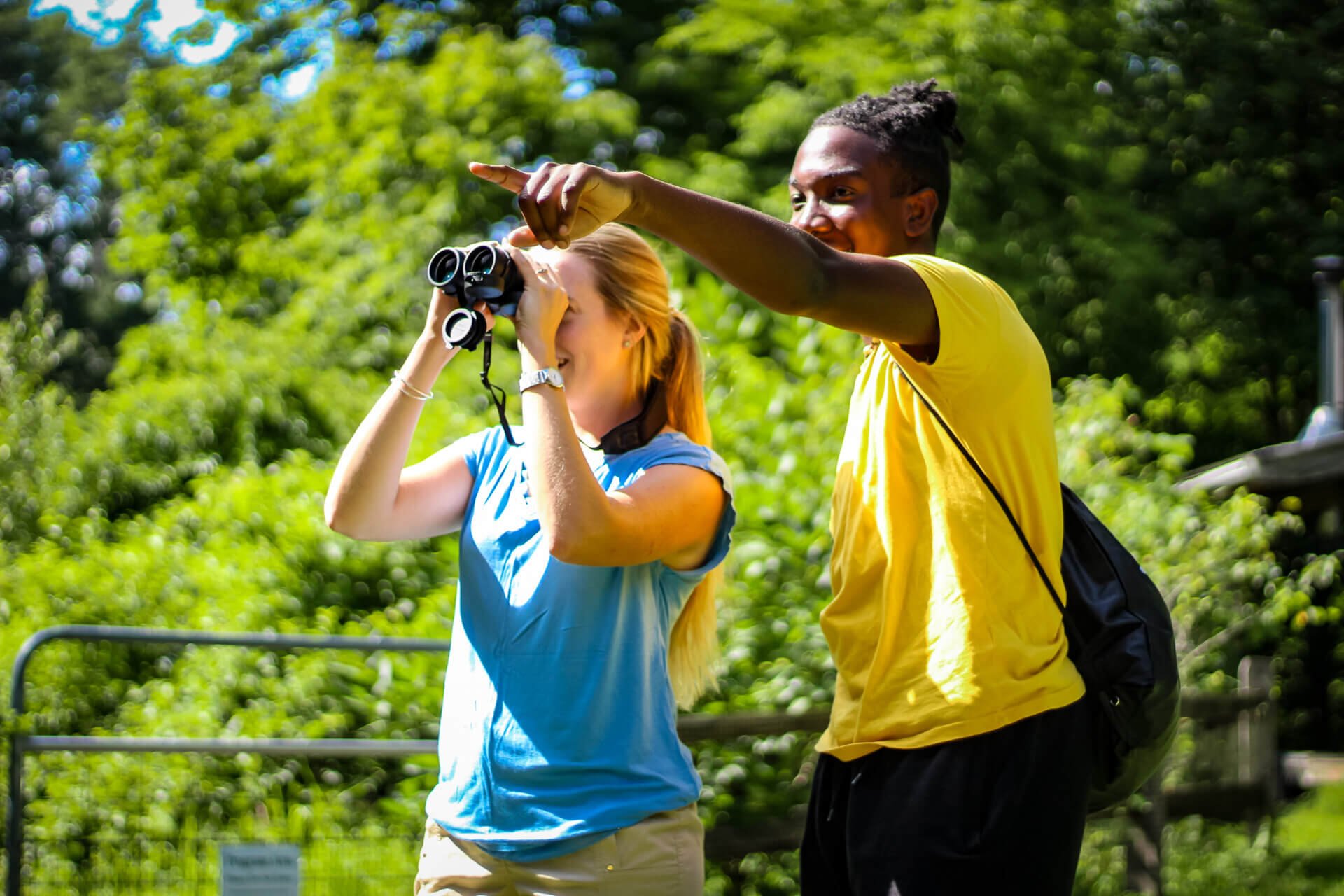 Try a birding class at The Mount