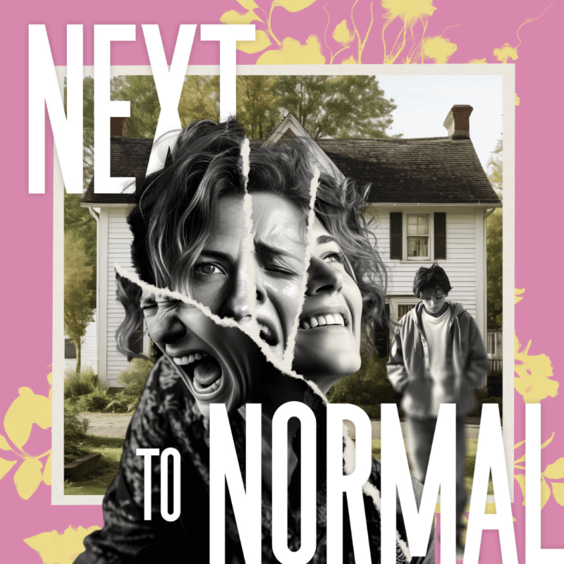 See Next to Normal at Barrington Stage Company