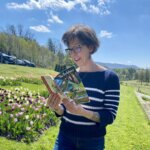 A woman stands in the Naumkeag Tulip Festival show during spring reading the Official Guide to the Berkshires