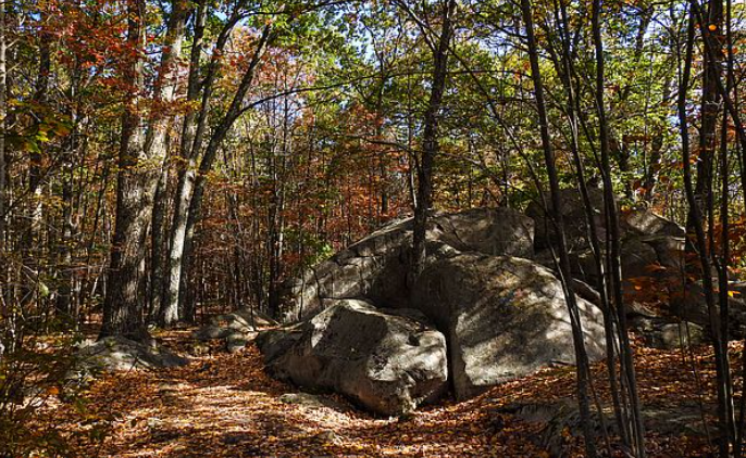 Hike The Boulders with the BNRC