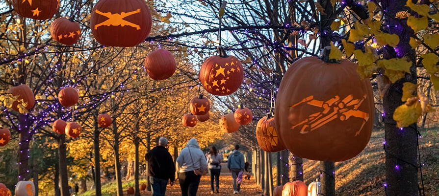 Carved pumpkins hang from trees long the foliage covered path at Naumkeag's Pumpkin Show