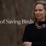 Learn the art of saving birds