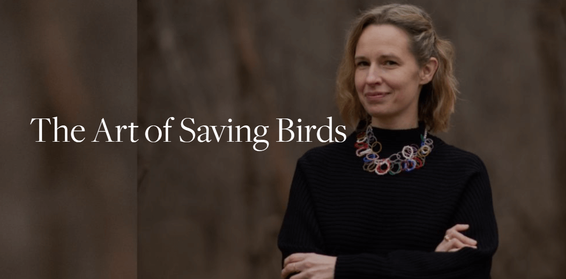 Learn the art of saving birds