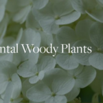 Ornamental Woody Plants class at BBG