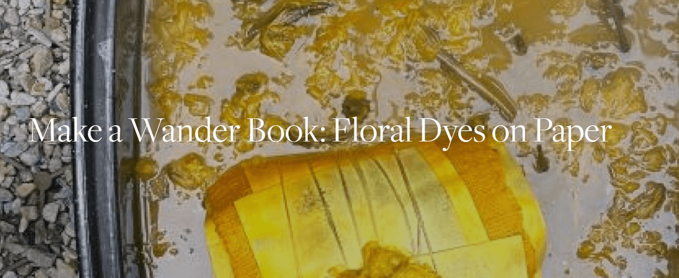 Make a Wander Book with Floral Dyes on Paper at BBG