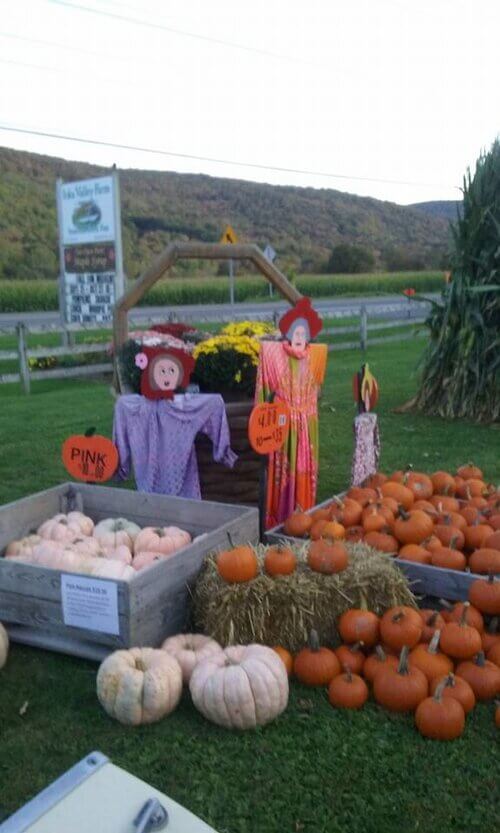 Find all your Fall treats at Ioka Valley Farm