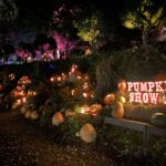The Pumpkin Show sign is lit up against a row of pumpkins at the Naumkeag Incredible Pumpkin Show, a family friendly fall event in the Berkshires