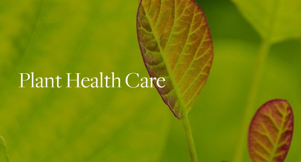 series of four classes on plant health care at BBG