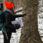 Learn to ID trees with BNRC