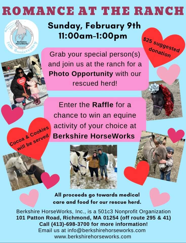 Join Berkshire Horseworks for Vanlentine's Day fun!