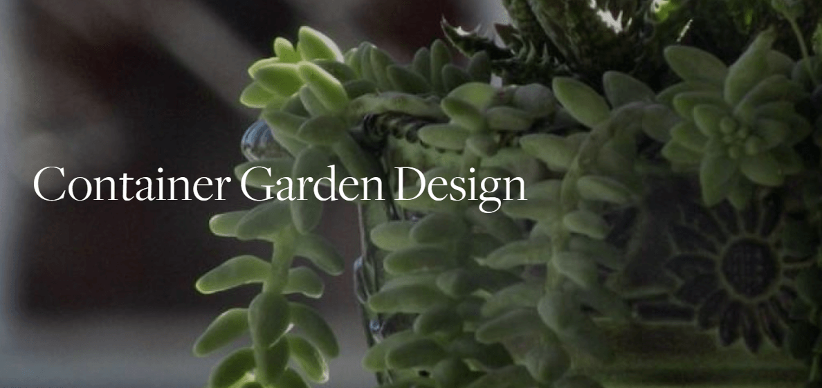 Container Garden Design